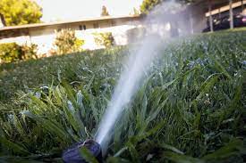 A comprehensive lawn watering guide for a utah lawn
